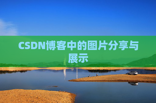 CSDN博客中的图片分享与展示